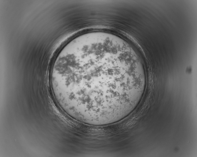 X0000115720935200912031547