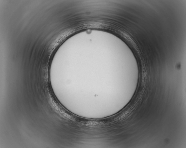 X0000115720938200912031547