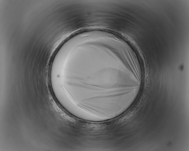 X0000115720941200912031547