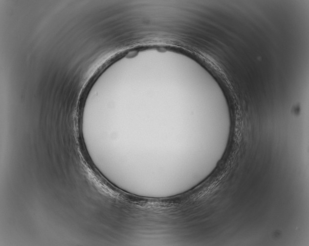 X0000115720942200912031547