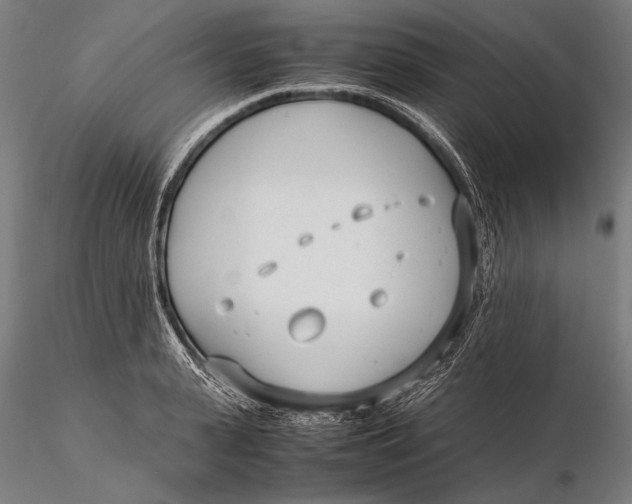 X0000115720943200912031547