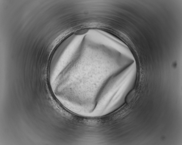 X0000115720946200912031547