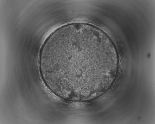 X0000115720950200912031547