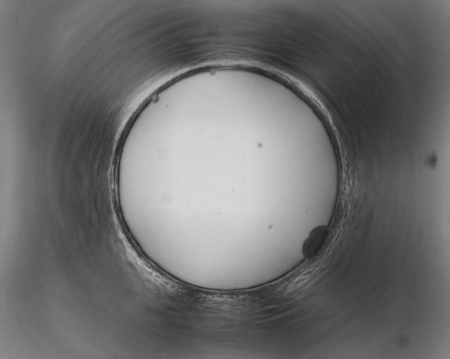 X0000115720951200912031547