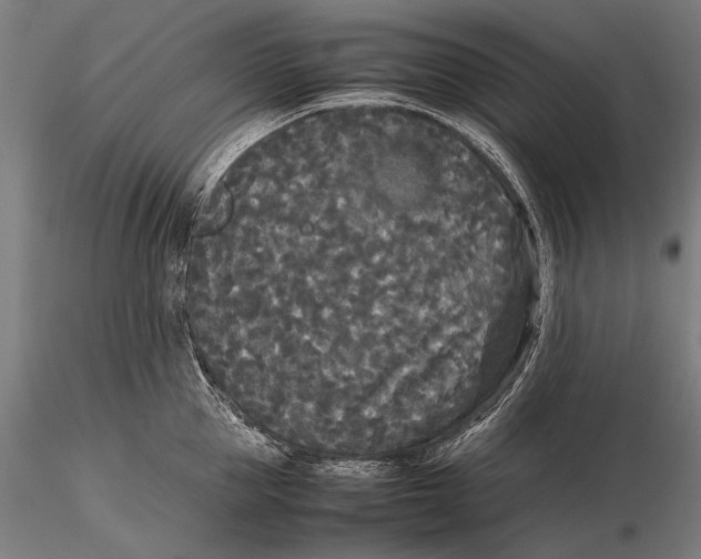 X0000115720953200912031547