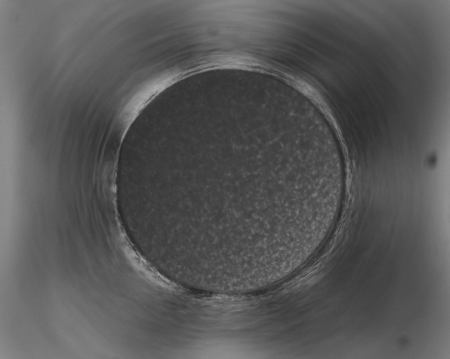 X0000115720954200912031547