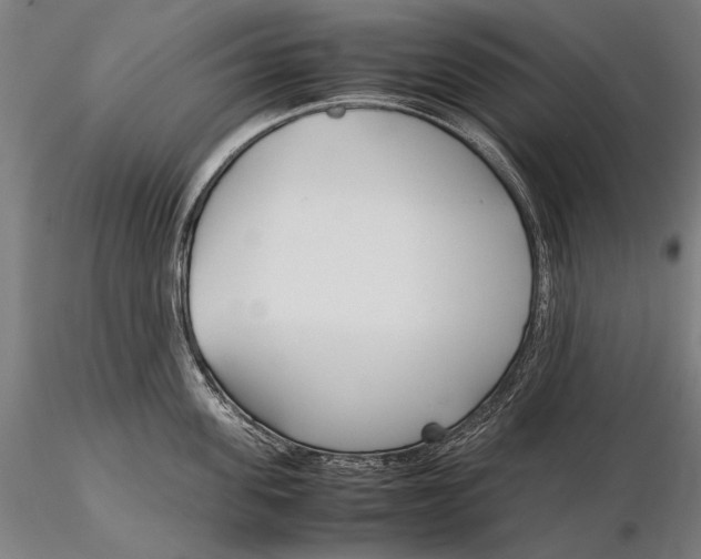 X0000115720955200912031547
