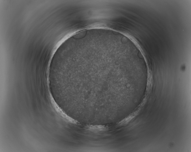 X0000115720957200912031547