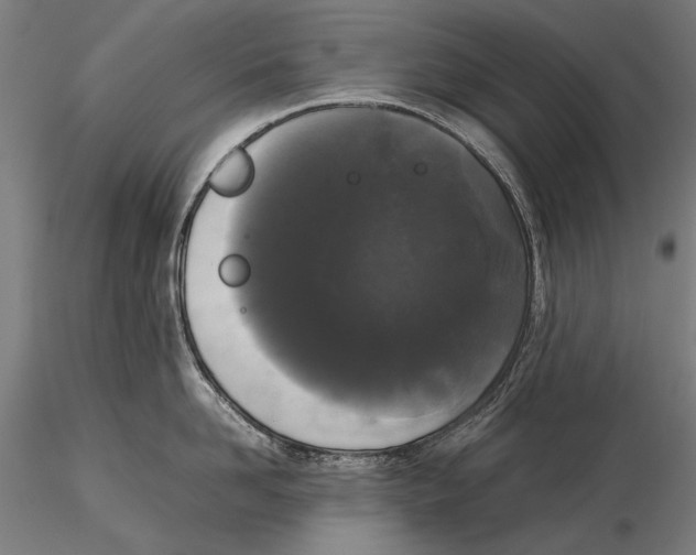 X0000115720958200912031547