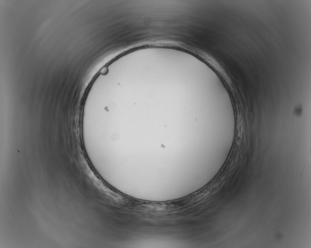 X0000115720959200912031547