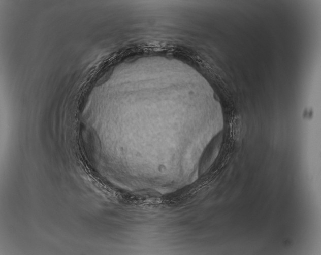 X0000115720961200912031547