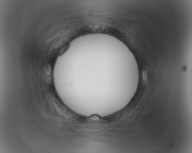 X0000115720963200912031547