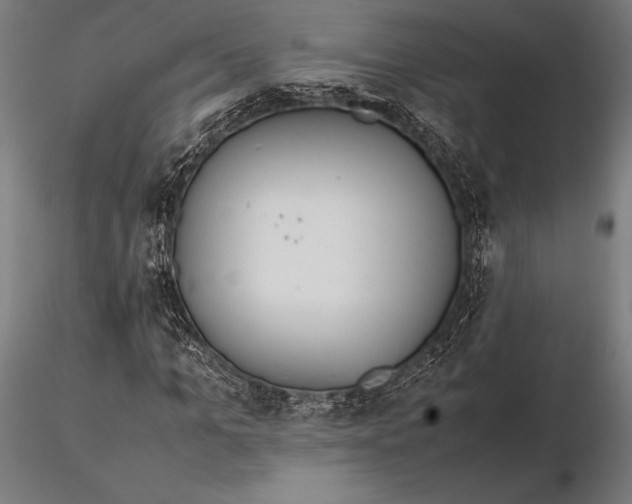 X0000115720965200912031547