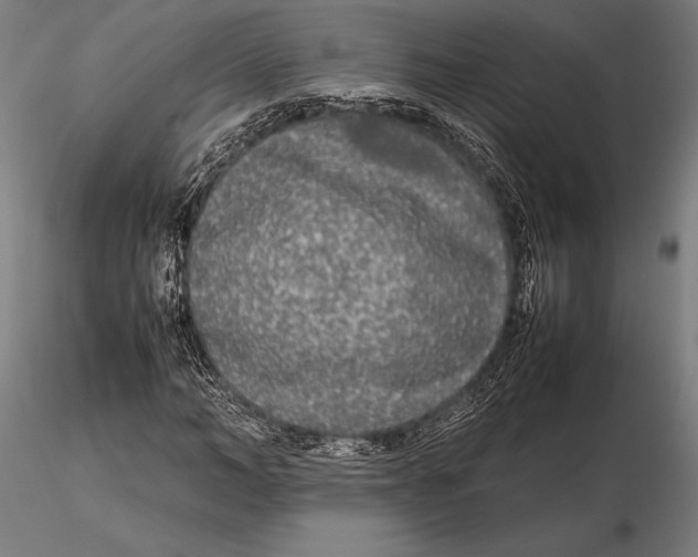 X0000115720966200912031547
