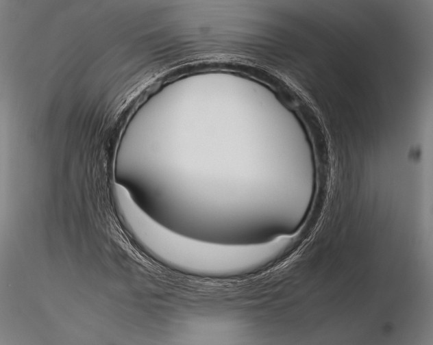 X0000115720969200912031547