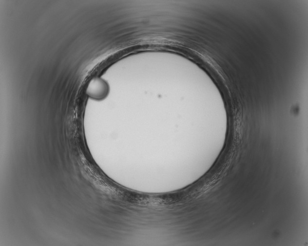 X0000115720971200912031547