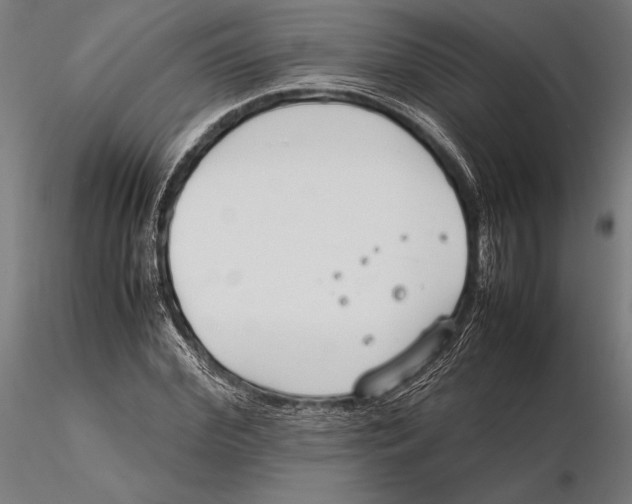 X0000115720972200912031547
