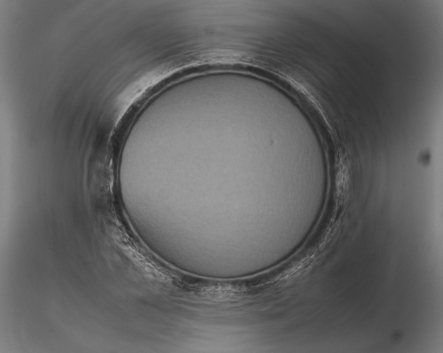 X0000115720973200912031547