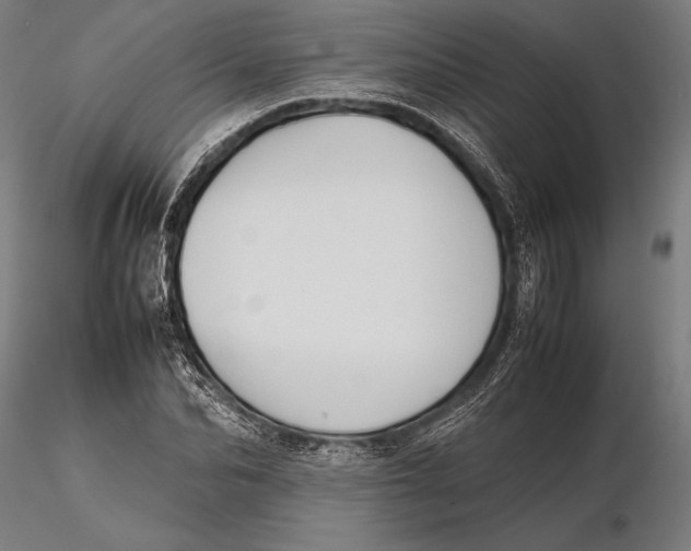 X0000115720974200912031547