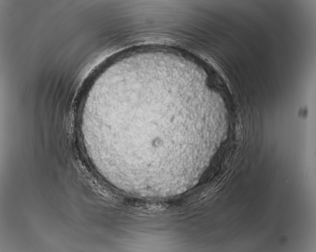 X0000115720975200912031547