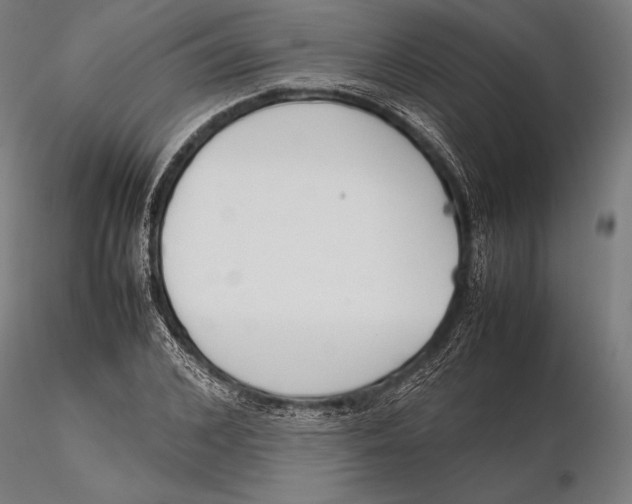 X0000115720976200912031547