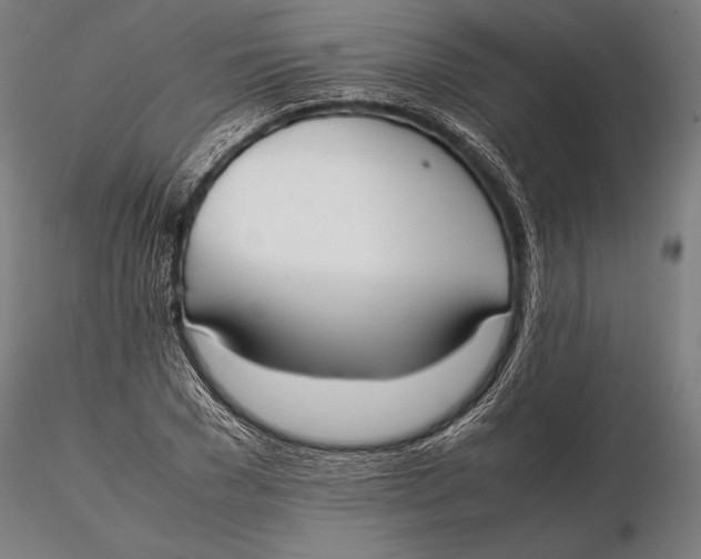 X0000115720977200912031547
