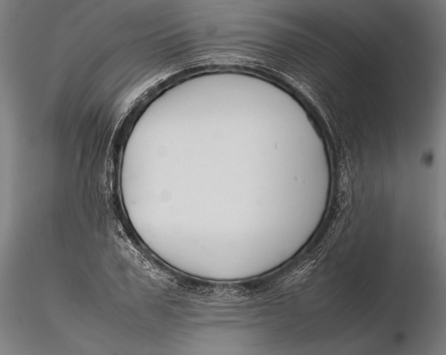 X0000115720979200912031547