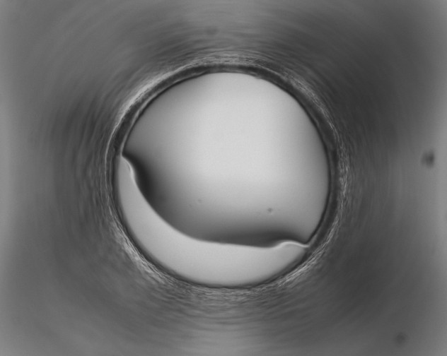 X0000115720981200912031547