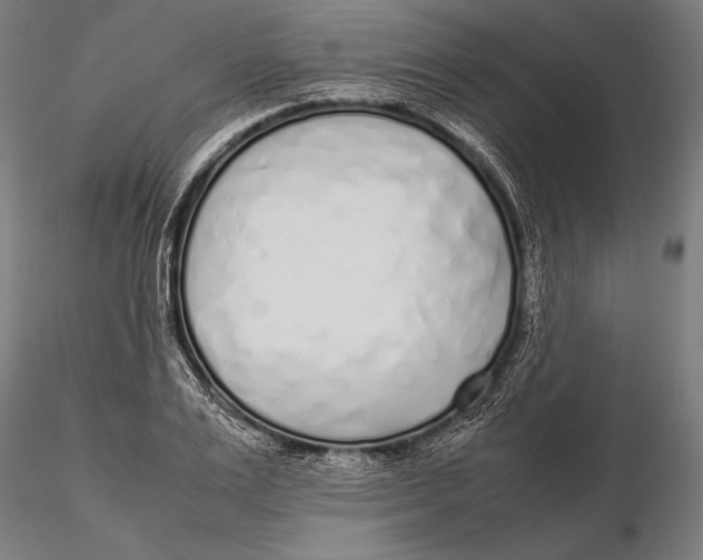 X0000115720983200912031547