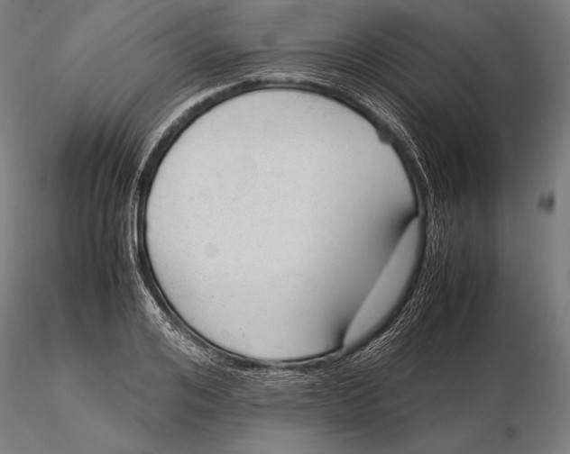 X0000115720984200912031547