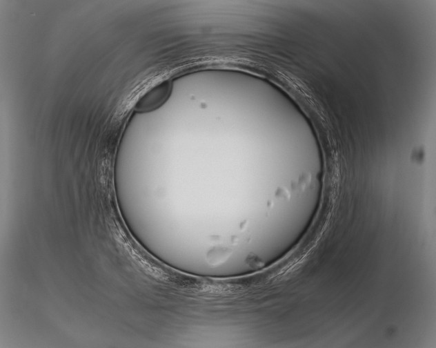 X0000115720985200912031547