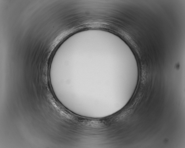 X0000115720986200912031547