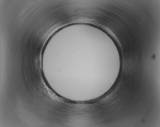 X0000115720988200912031546