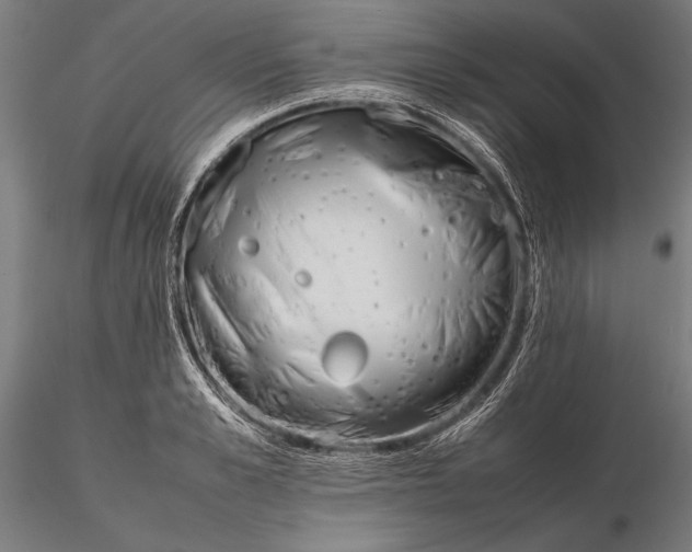 X0000115720989200912031546