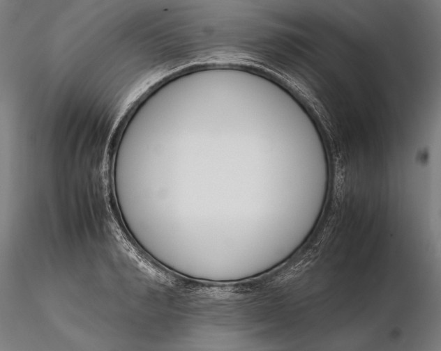 X0000115720990200912031546