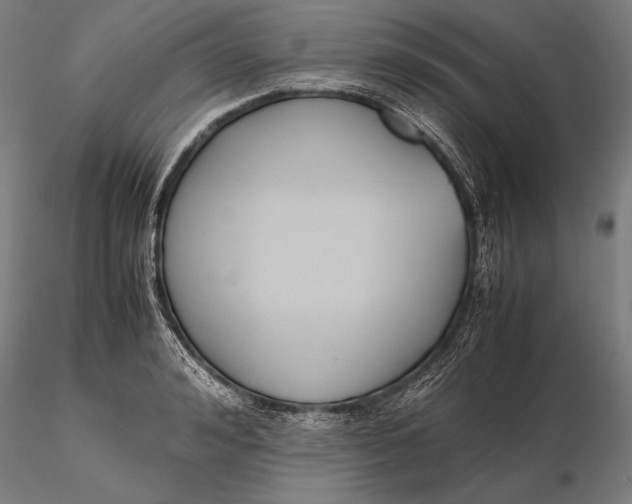 X0000115720992200912031546