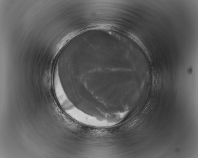 X0000115720994200912031546