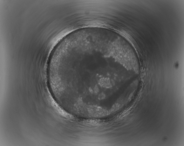 X0000115720995200912031546