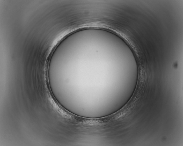 X0000115720998200912031546