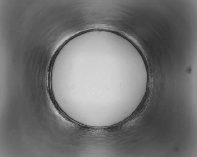 X0000115720999200912031546