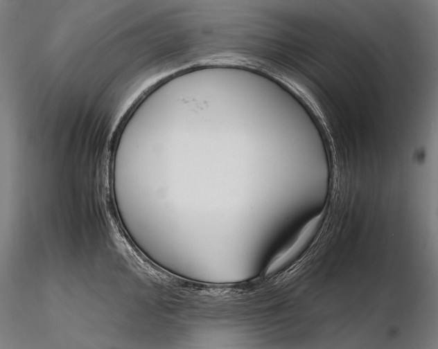 X0000115721000200912031546