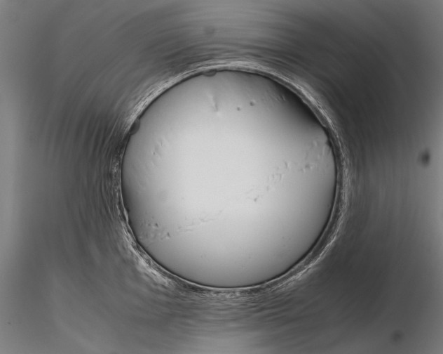 X0000115721001200912031546