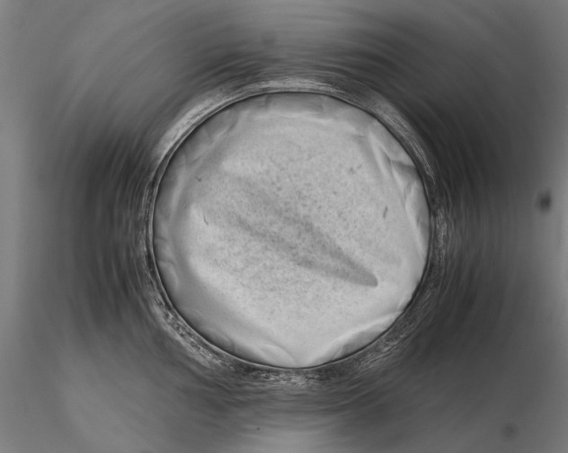 X0000115721002200912031546