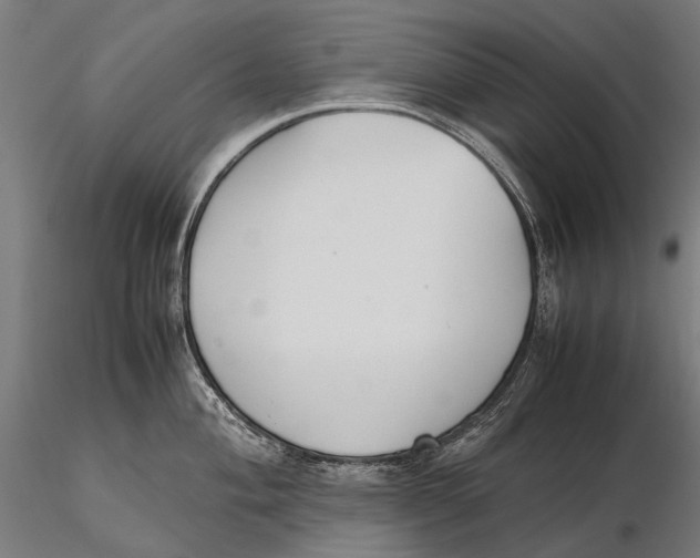 X0000115721004200912031546