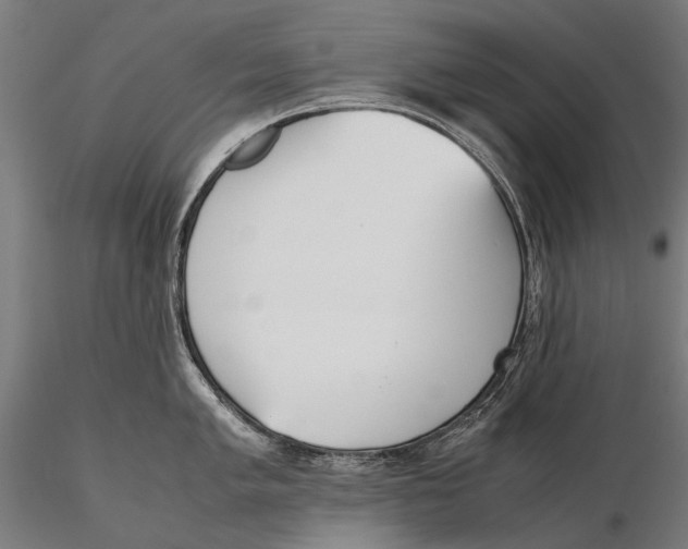 X0000115721005200912031546