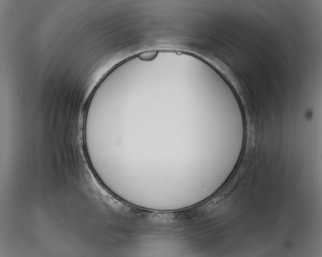 X0000115721006200912031546