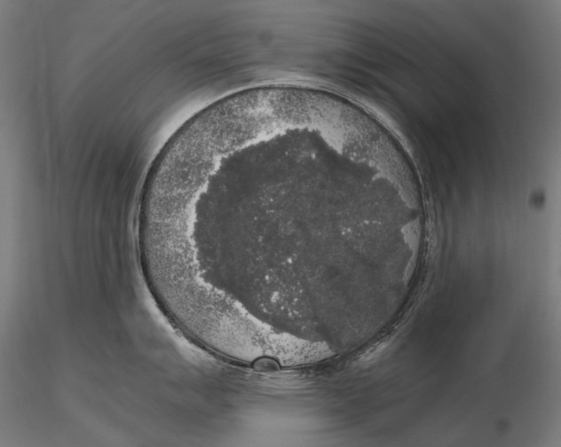 X0000115721007200912031546