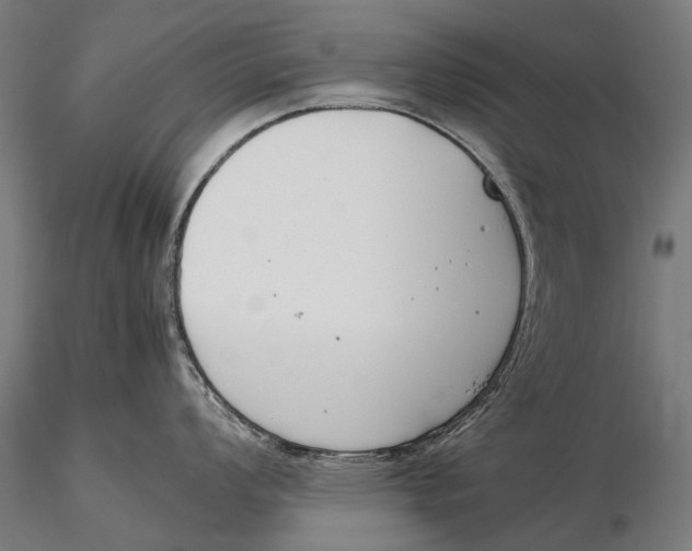 X0000115721008200912031546