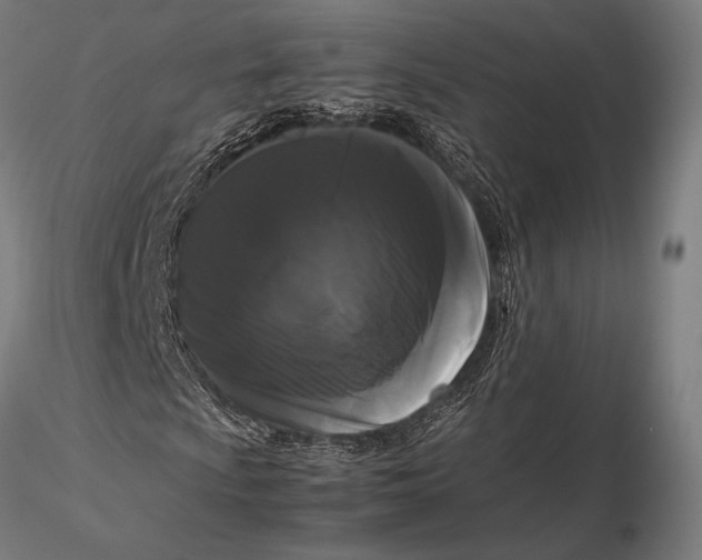 X0000115721009200912031546
