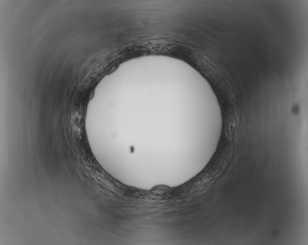 X0000115721010200912031546